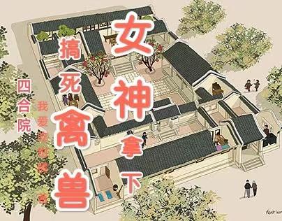 四合院搞死禽兽女神拿下小说