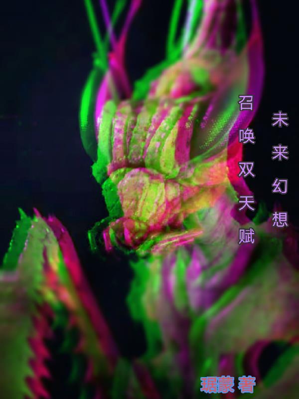 幻想未来最强英雄