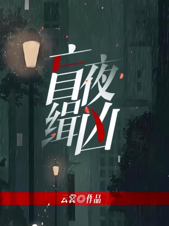 盲夜缉凶