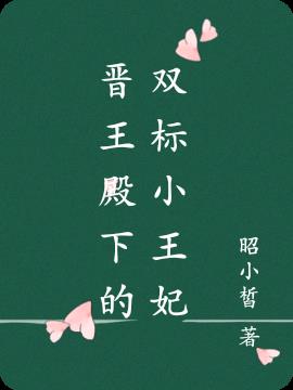 小说晋王妃