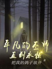 平凡的魔术师小说全集